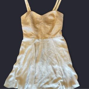 Express Gold and Cream Mini Dress